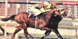 R.T. Chavez con El Silln por dentro y Great Victory con Silvio Rovero sin lentes!!! (Cortesa de John Contreras)